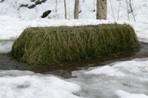 Tolstoy's grave in the "Place of the Green Wand" in