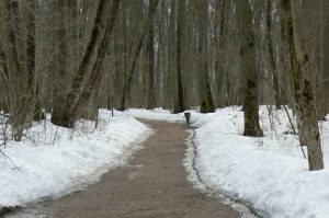 Quiet path to the grave