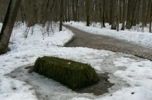 Tolstoy's grave in the "Place of the Green Wand" in