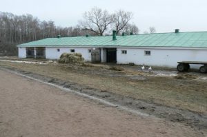 Tolstoy was very interested in farming and peasant life. Here