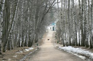 Tolstoy's father laid out the landscape design of the estate