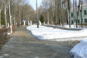 Near the Yasnaya Polyana estate is a language school with