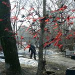 Ribbons of remembrance