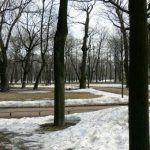 Late winter park scene