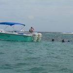 Reef snorkelers stay close to the surface while scuba diver