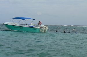 Reef snorkelers stay close to the surface while scuba diver