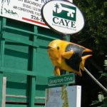 Many of the street signs have maps and fish models