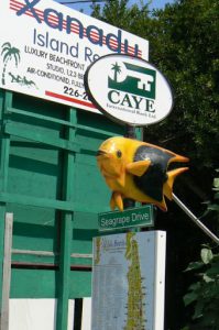 Many of the street signs have maps and fish models