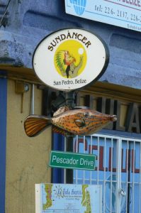 Many of the street signs have maps and fish models