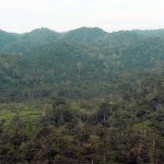 Belize is mostly verdant and rural