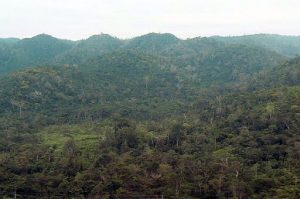 Belize is mostly verdant and rural