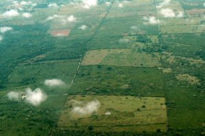 Belize is mostly verdant and rural