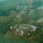 Belize is mostly verdant and rural