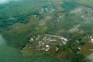 Belize is mostly verdant and rural