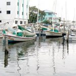 City harbor on the Belize River