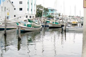 City harbor on the Belize River