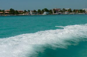 View from the water taxi to San Pedro