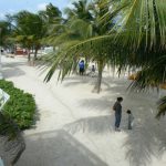 White sand and palm shadows