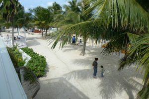 White sand and palm shadows