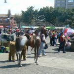 Plastic horses for photos with kids