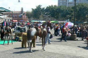 Plastic horses for photos with kids