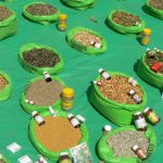 Medicinal herbs in the central plaza market