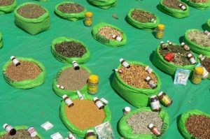 Medicinal herbs in the central plaza market