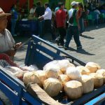 Coconut milk vendor