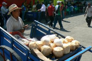 Coconut milk vendor