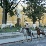 Horses for tourists by Our Lady of Mercy (Merced) church