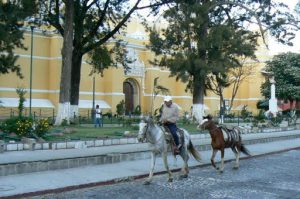 Horses for tourists by Our Lady of Mercy (Merced) church