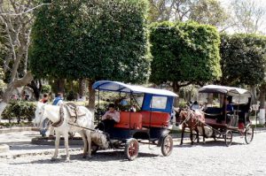 Tourist taxi carts
