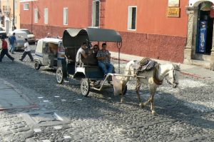 Tourist carriage