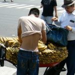 Banana vendor cooling his ribs