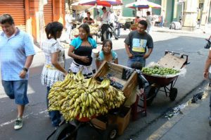 Many fruit vendors