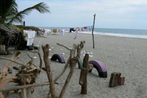 Life along the beach