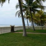 Grass lawn along the beach