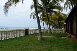 Grass lawn along the beach