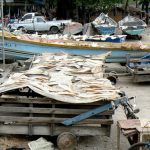 Life on the fishing pier