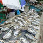 Life on the fishing pier