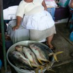 Nap time on the fishing pier--long hours, short ptofits