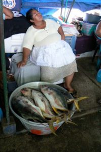 Nap time on the fishing pier--long hours, short ptofits