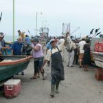 Fisherman holding up a prize fish