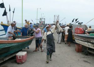 Fisherman holding up a prize fish