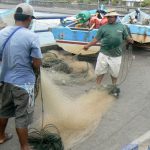 Folding the nets