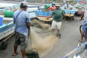 Folding the nets