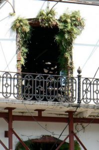 Unrestored building sprouting plant life