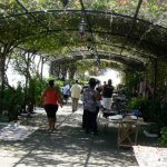 Vine covered promenade in old town