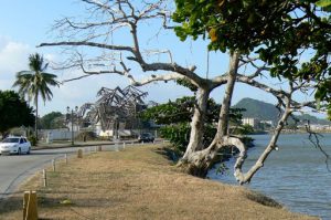 New art museum by Frank Gehry under construction along Causeway