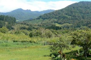 Verdant hills around Boquete